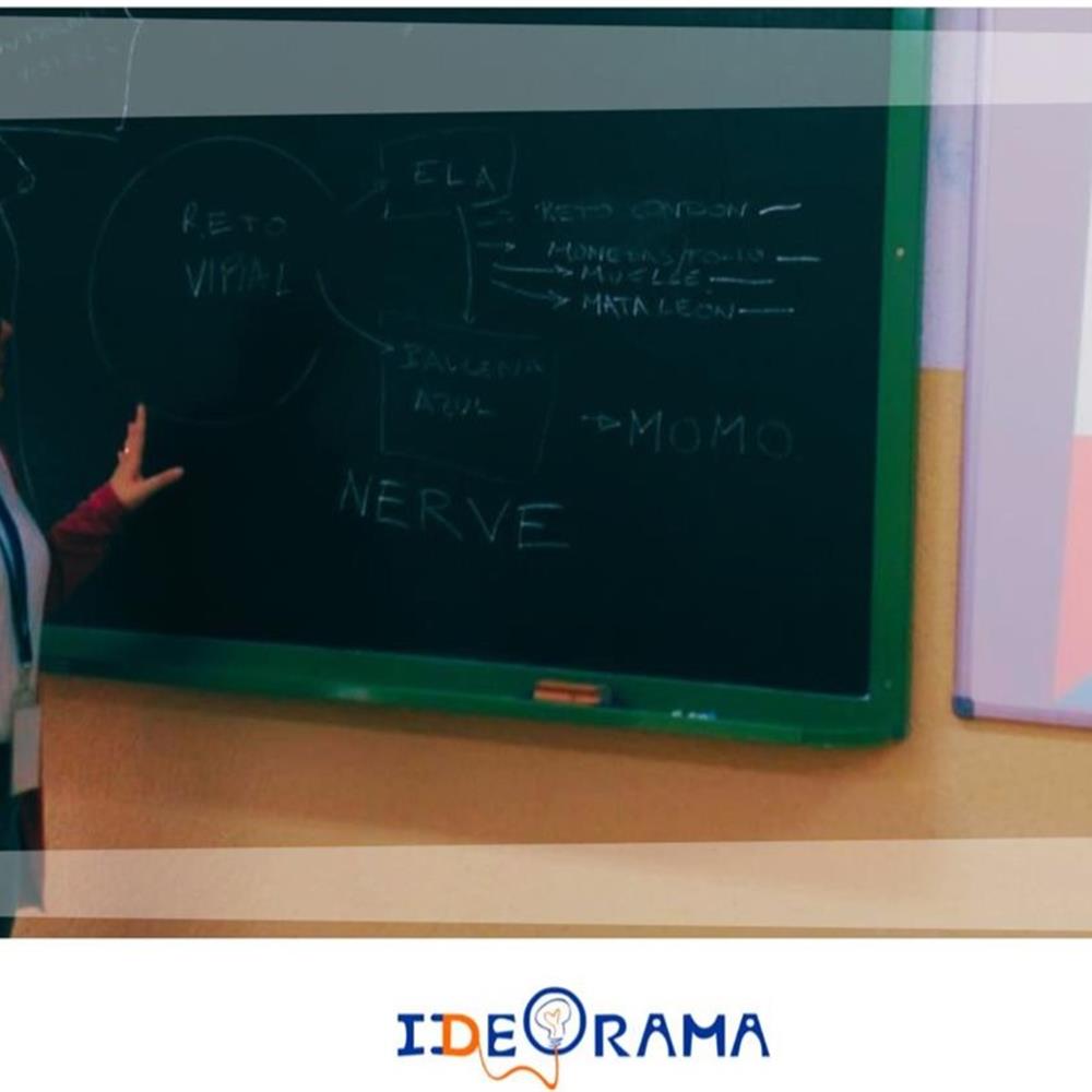 Intervención social