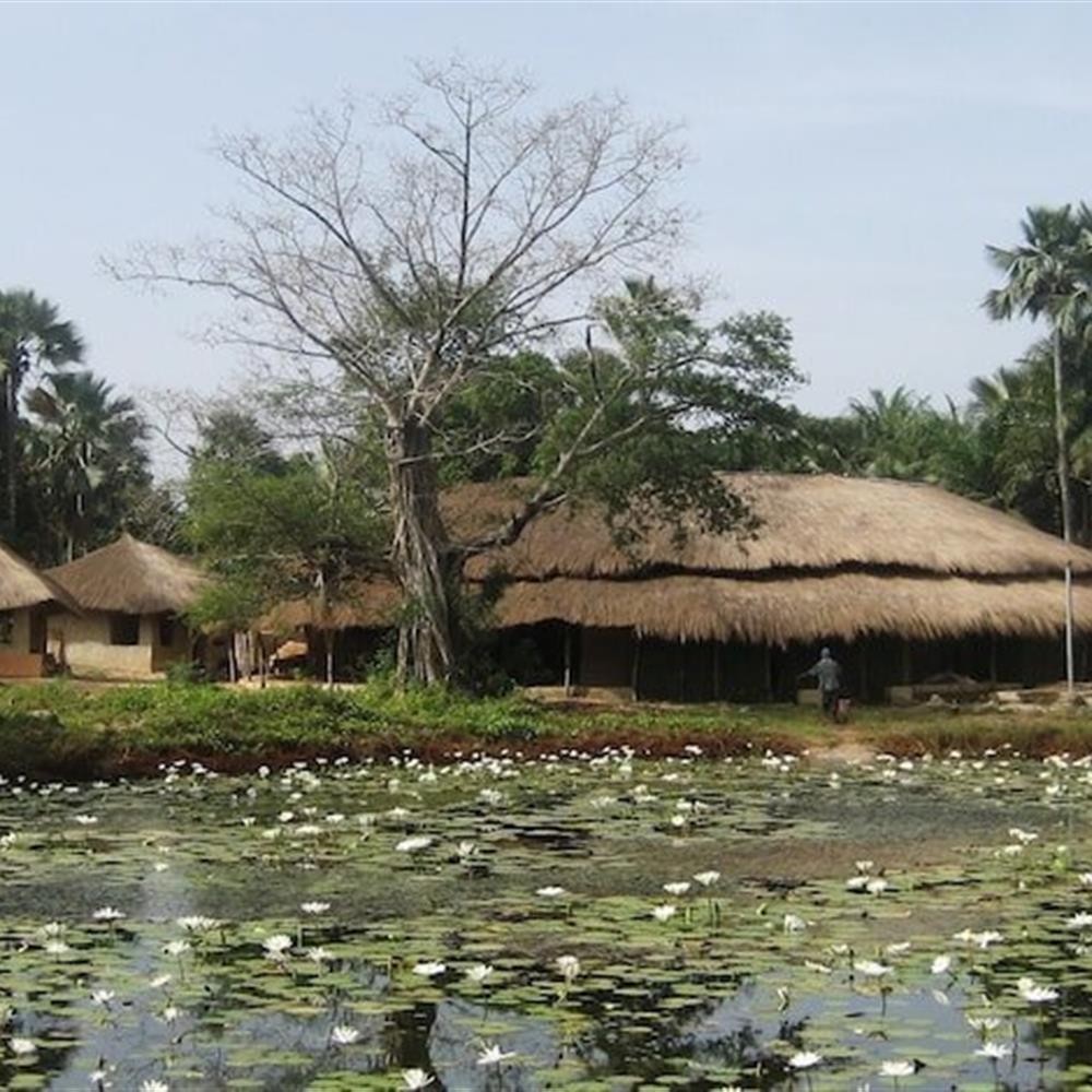 Viaje de yoga e inmersión cultural en Casamance (Senegal)