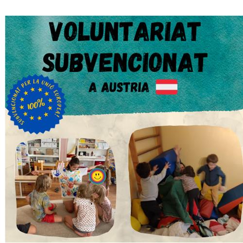 Volunteering in Austria (Vienna)