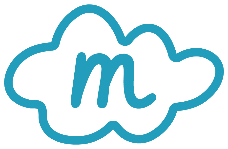 Gestor de proyectos ,búsqueda  de financiación y captación de fondos.