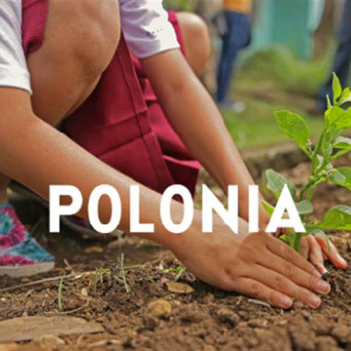 Beca ces 100% financiado - medioambiente y lucha al cambio climático en Polonia