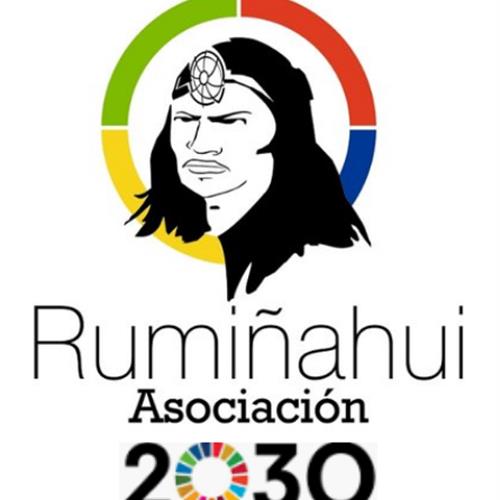 Prácticas en el área de proyectos de la asociación rumiñahui