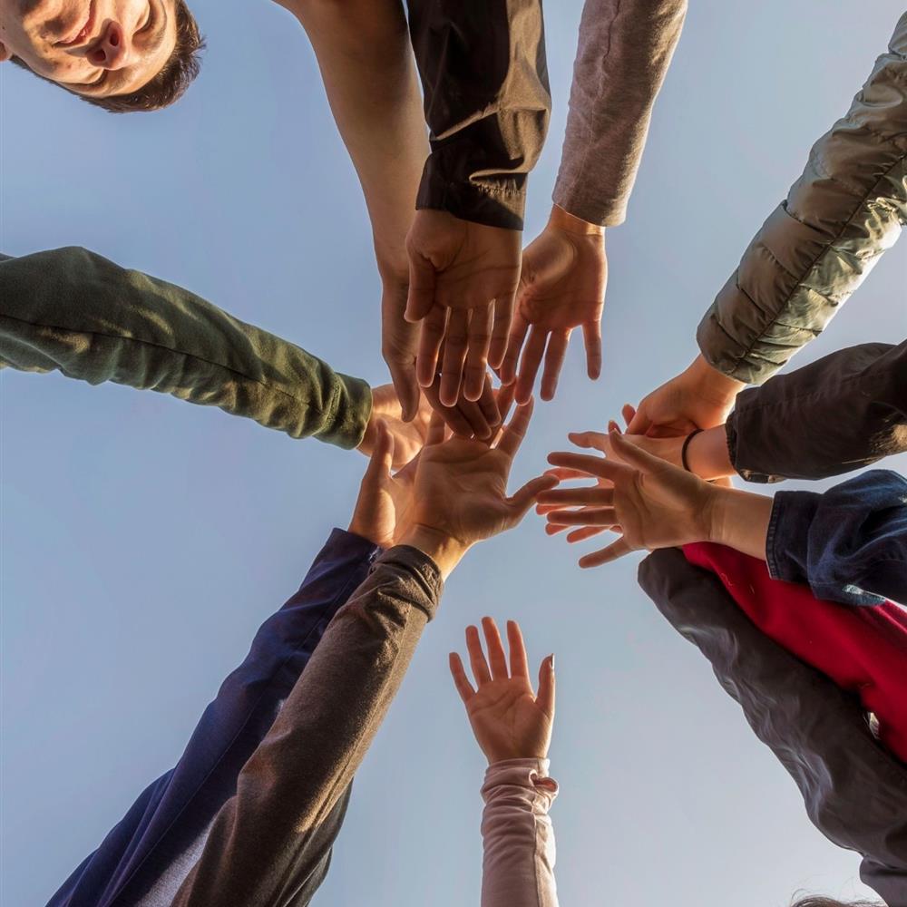 Voluntariado de apoyo al trabajo de campo en proyectos de investigación social