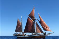 Crew internship: multimedia coordinator