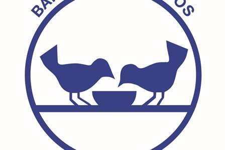 Voluntariado almacén verano banco de alimentos de madrid