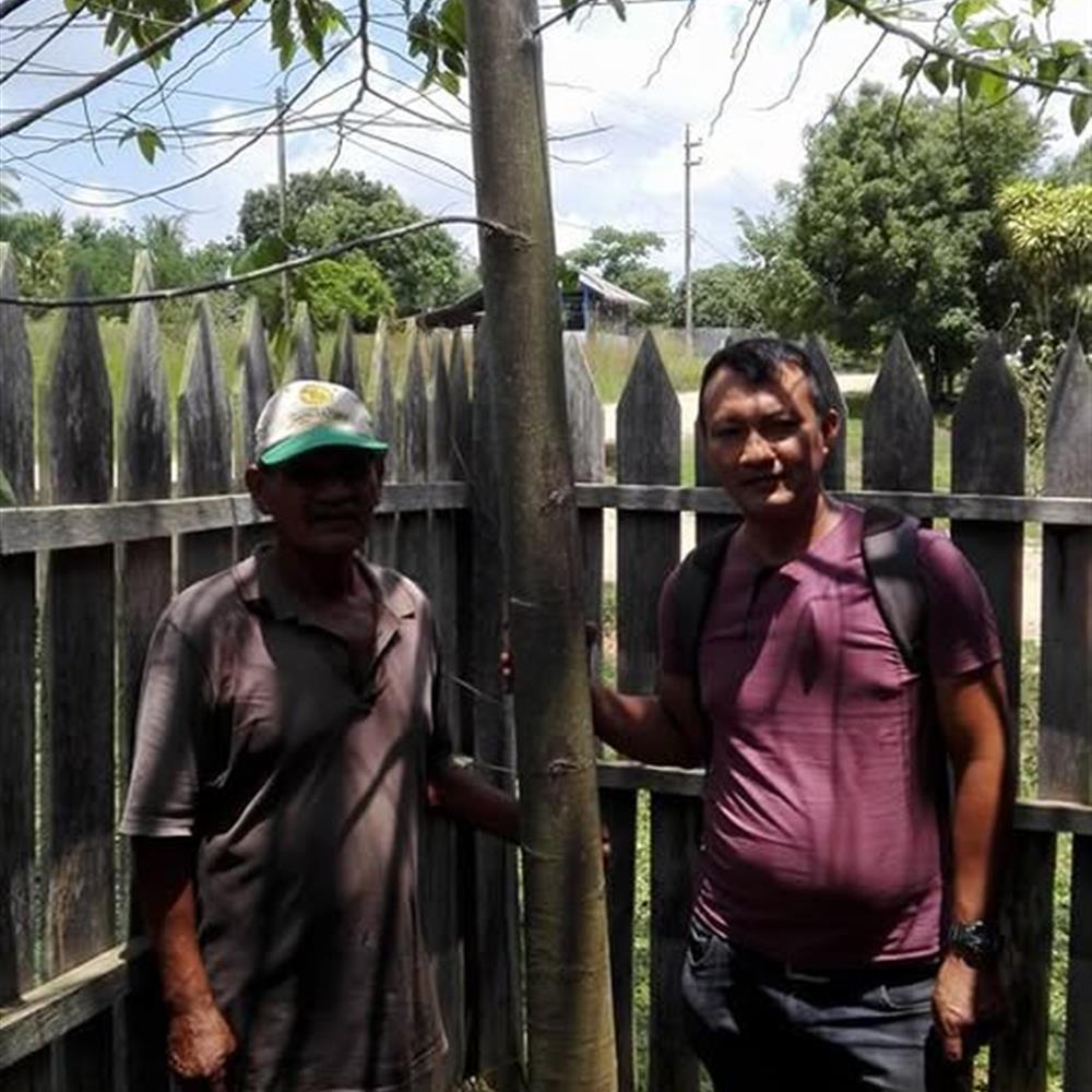 Busco 2 firmas para plantar árboles (trámite puntual)