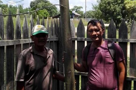 Busco 2 firmas para plantar árboles (trámite puntual)