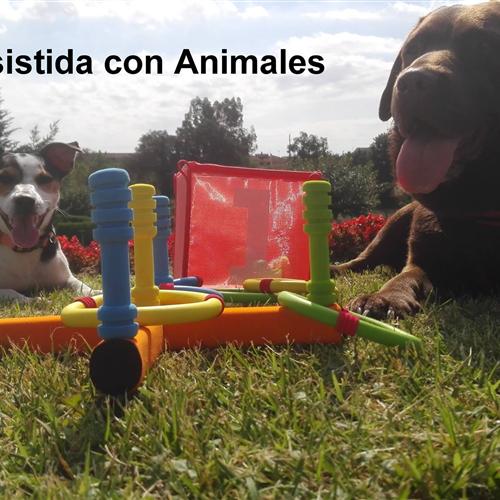 Buscamos voluntarios - terapia asistidas caninas