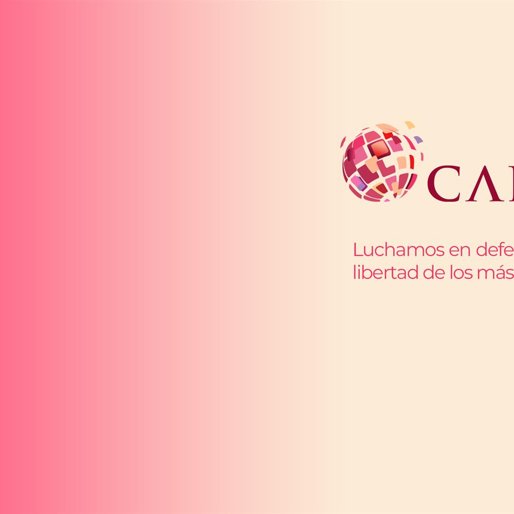 Técnico de proyectos