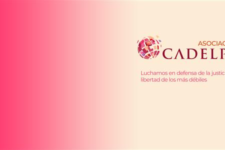 Técnico de proyectos