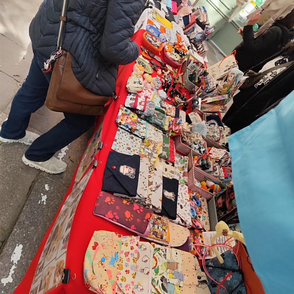 Meow: “únete a ferias y eventos: ¡cambia vidas!”