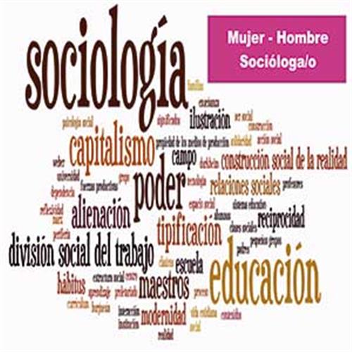 Voluntarios/as licenciadas/os sociología.