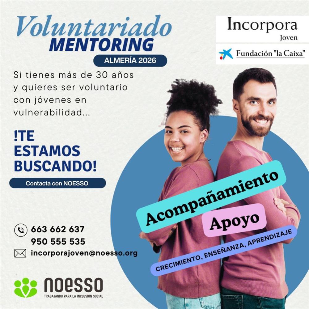 Voluntariado mentoring