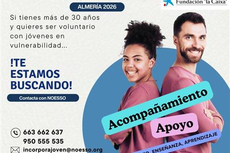 Voluntariado mentoring