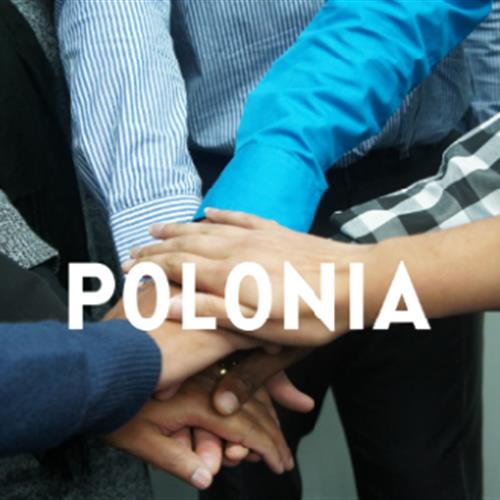 Beca ces 100% financiado - promover el voluntariado y la actividad cívica en polonia