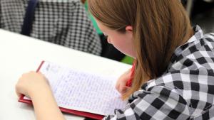 Voluntariado educativo: apoyo escolar eso, bachillerato y acceso a fp (fundación madrina)