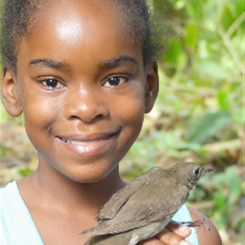 Voluntariado con animales y/o educación (américa latina)