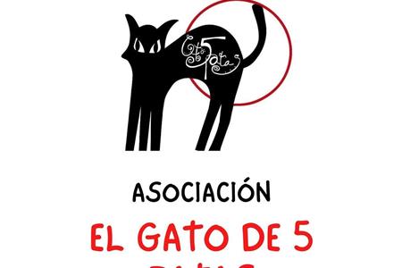 Voluntariado adolescentes con discapacidad