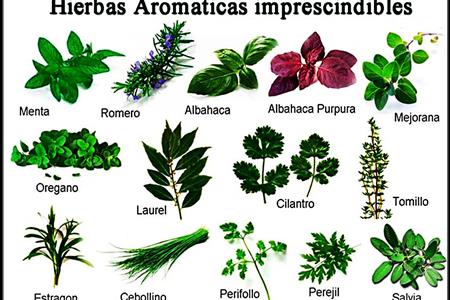 Voluntaris/es per taller d'infusions i preparats amb plantes medicinals