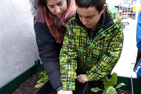 Voluntari i voluntria 