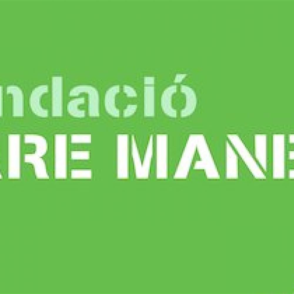 Voluntariat per al reforç a primària i eso