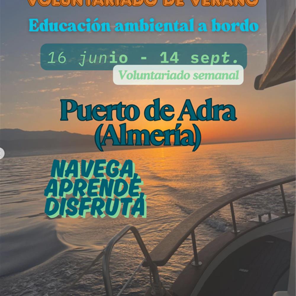 13º campaña de voluntariado 2025
