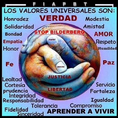 Web de fundacion proyecta terminar de construir. app web de proyectos. landing