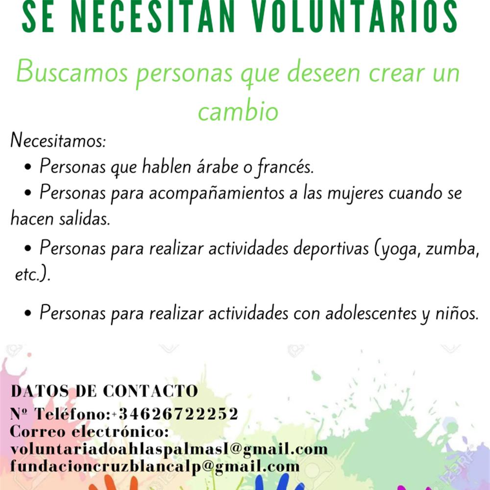 Buscamos voluntarios multidisciplinares