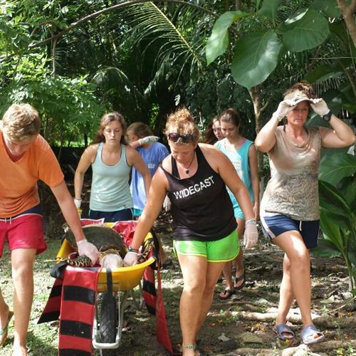 Voluntariado medioambiental Costa Rica