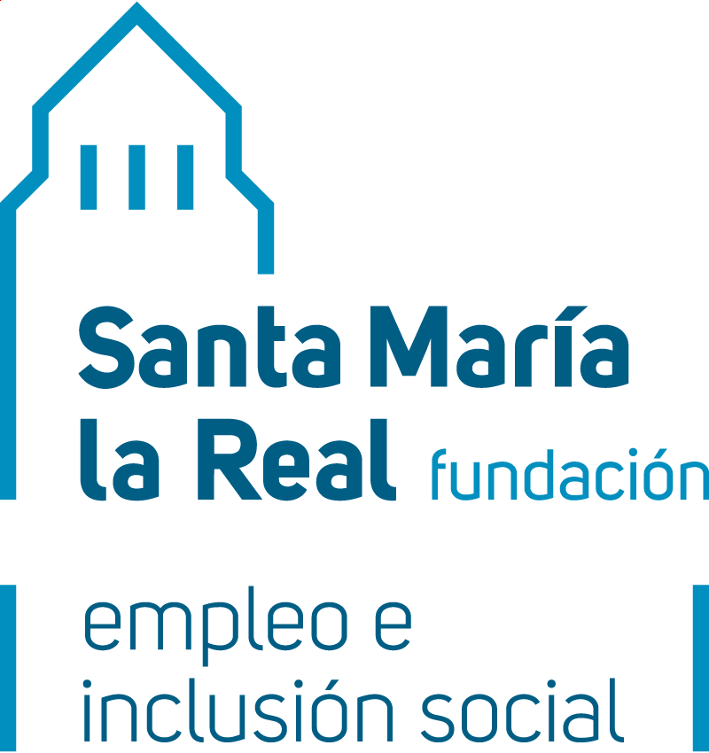  Voluntariado de apoyo digital