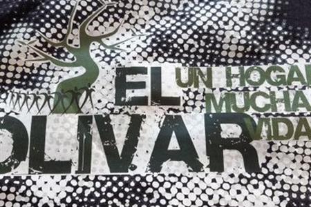 Educador/educadora voluntaria para participar en el proyecto de piso de acogida de la as. el olivar