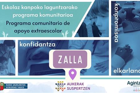 Voluntariado de refuerzo extraescolar en zalla