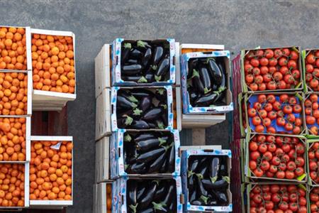 Responsable de gestió de compres (fruita i hortalisses)