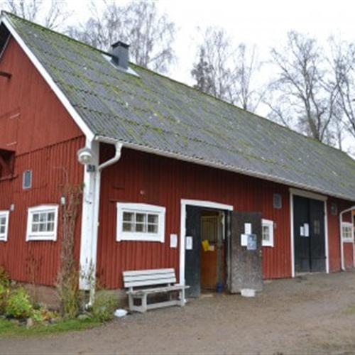 Voluntariado de CES 100% financiado en la granja de una asociación de juventud en Suecia