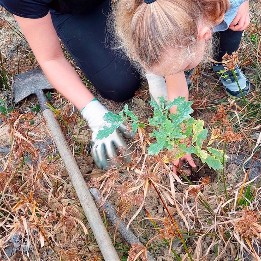 Voluntariado medioambiental