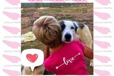Voluntariado con galgos