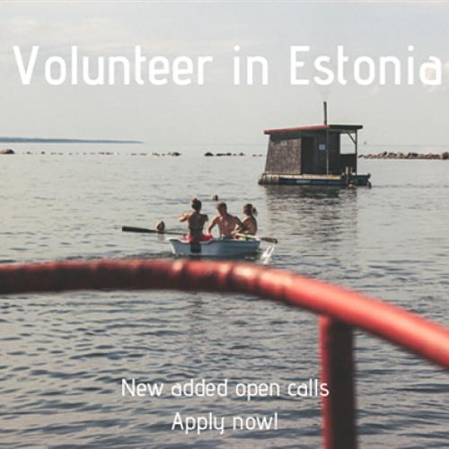 Servicio voluntariado europeo subvencionado en Estonia (12 meses)