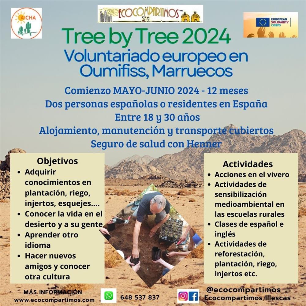Tree by tree 2024 voluntariado europeo -todos los gastos cubiertos- (África)