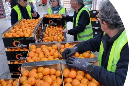 Voluntaris(as) suport administratiu necessitem persones que aportin experiència en gestió administra
