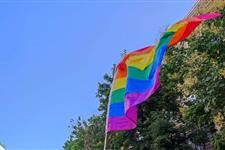 Voluntariado para sevilla diversidad (asociación provincial lgbt)
