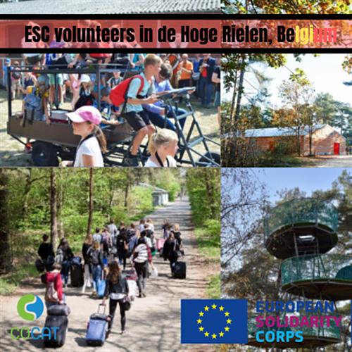 Servicio voluntariado europeo subvencionado en Bélgica (8 meses)