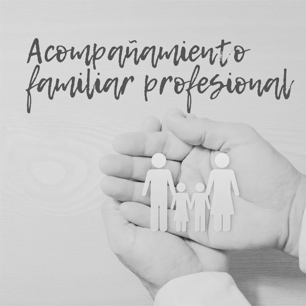 Asesoramiento profesional psicológico y pedagógico a familias riesgo exclusión social