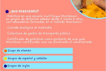 Voluntario/a en un espacio infantil internacional multilingüe y montessori