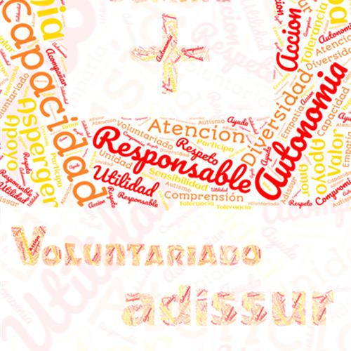 Voluntariado adissur gran canaria