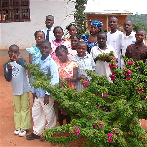 Apoya las labores administrativas de una ong que realiza proyectos en camerún