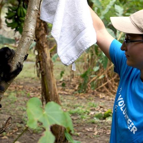 Voluntariado en Costa Rica