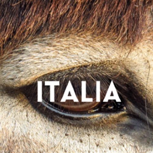Beca ces 100% financiado - albergue sostenible con burros en Italia