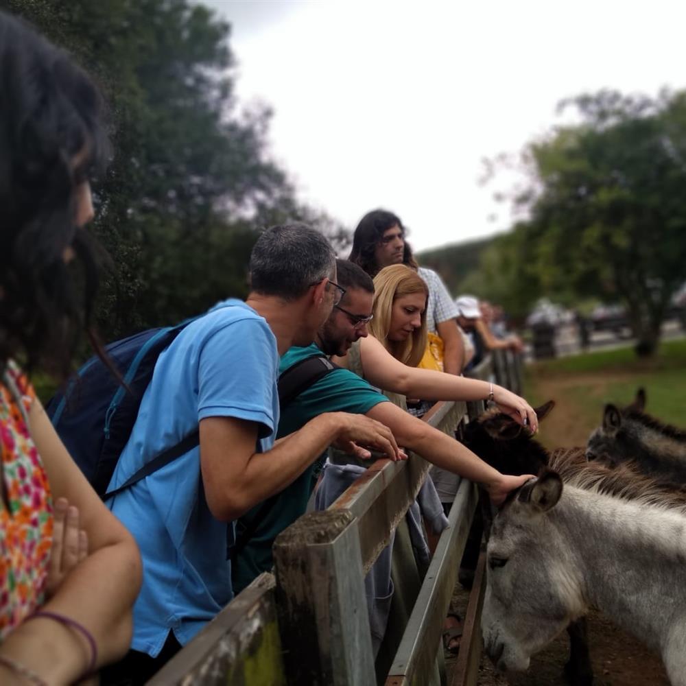Vacaciones de semana santa con un grupo de personas con discapacidad intelectual o del desarrollo.