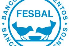Voluntari@ para dirección dpto. comunicación fesbal