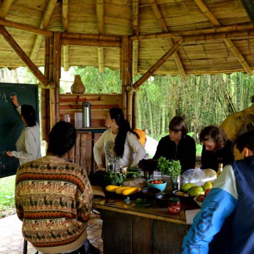 Voluntariado en Colombia: centro de conservación y educación medioambiental